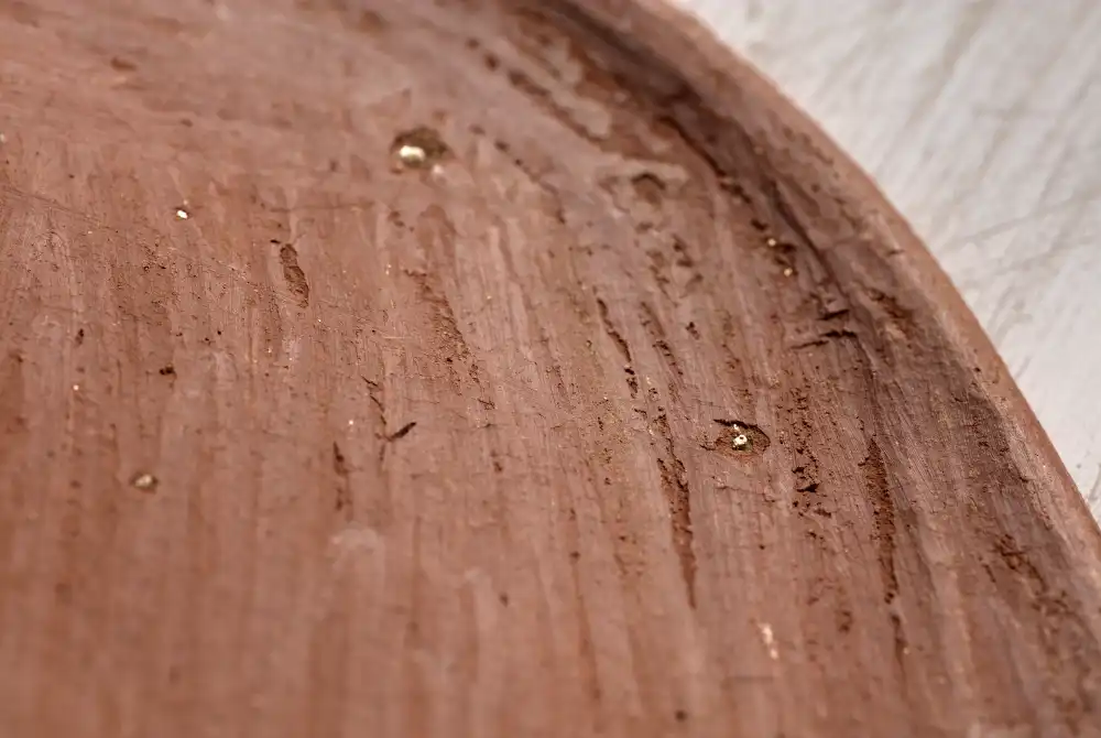 Small comal made from red clay in San Marcos Tlapazola, Oaxaca.