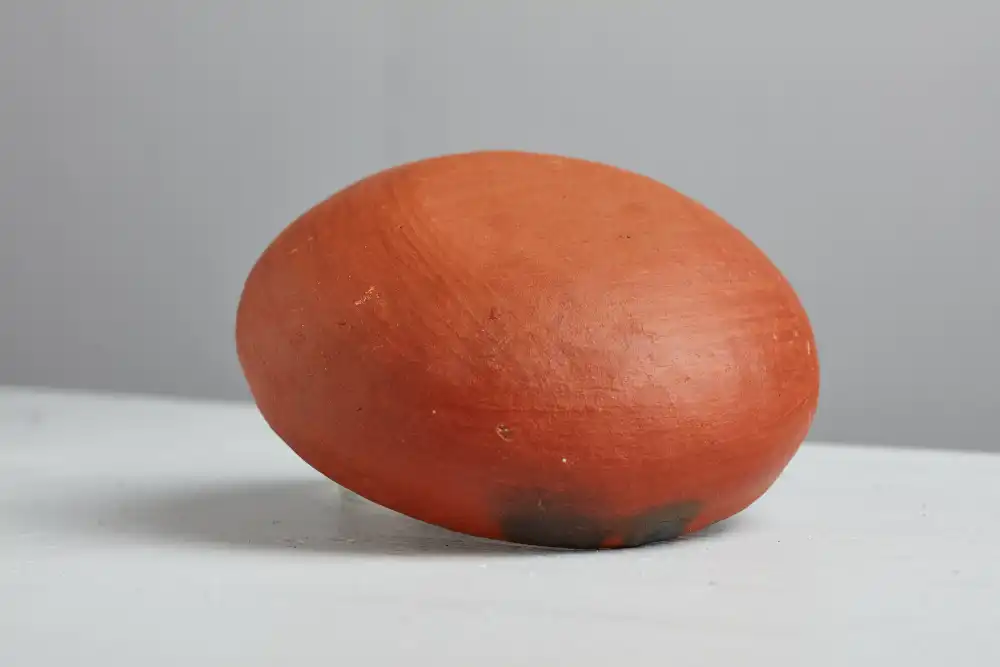 Medium bowl made from red clay in San Marcos Tlapazola, Oaxaca.